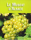 Raisin de Muscat