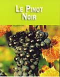 Raisin de Pinot Noir
